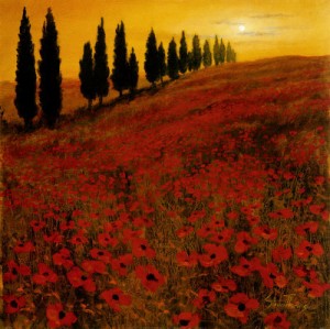 Poppies - painted by Steve Thoms